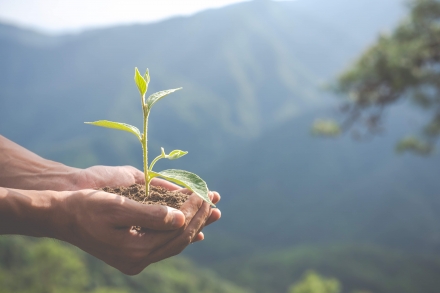 Menos Lixo - Assessoria e Consultoria Ambiental - 